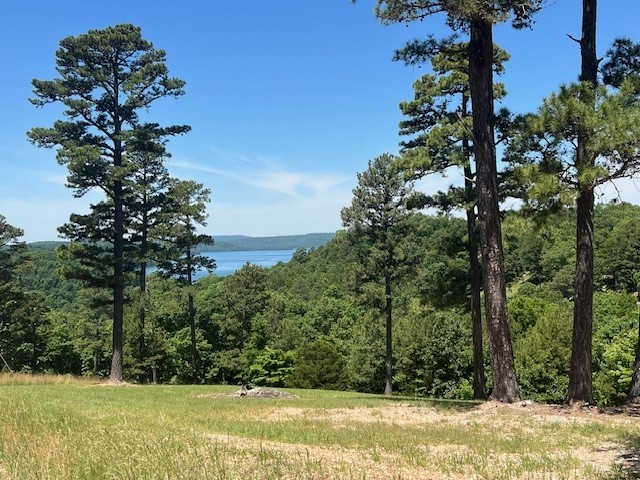 One of the prettiest lots in Timber Ridge that I have seen in a long time. Lots of room to spread out on this 2.47 acre property. Gentle slope towards the water makes building your dream home easier with not much dirt work to level out a building spot. Open area allows a great view of Beaver Lake once your home is built. You are only 15 minutes from the town of Eureka Springs. Don't miss this opportunity to own a gorgeous piece of lake property in the Ozarks.