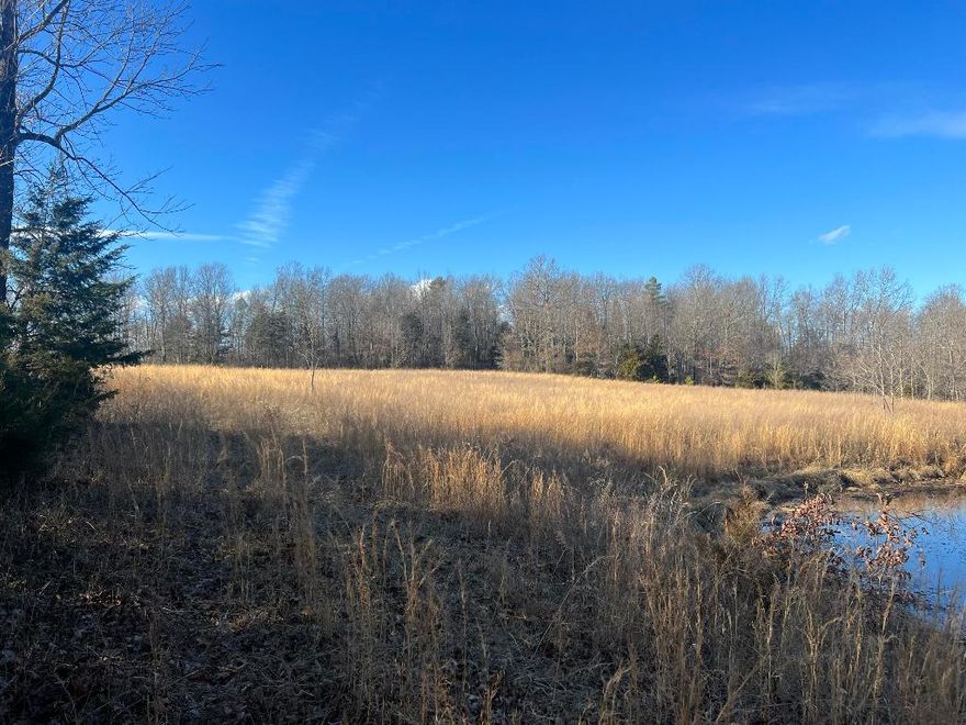 202 acres of PRIME Development Property just 3 miles from the town of Jasper. Located just off Arkansas Highway 74 East. Just over a mile to the Little Buffalo River and a short distance further to the Buffalo National Park and River. Property has numerous building sights with good views. Has access to rural water and electric. Consist mainly of woods with some pasture, ponds and lots of wildlife.Would make a great property for homes, cabins or private retreat.