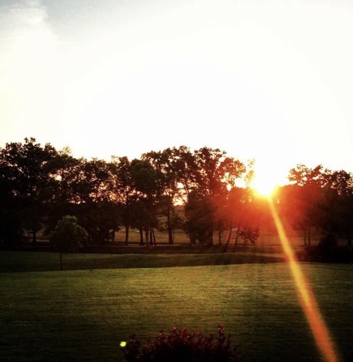 Shadow Valley Ph Iii-Rogers - Residential