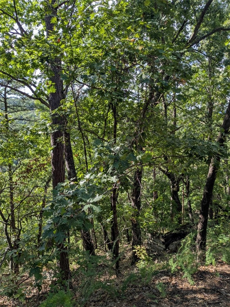 Unit 7 Holiday Island - Land