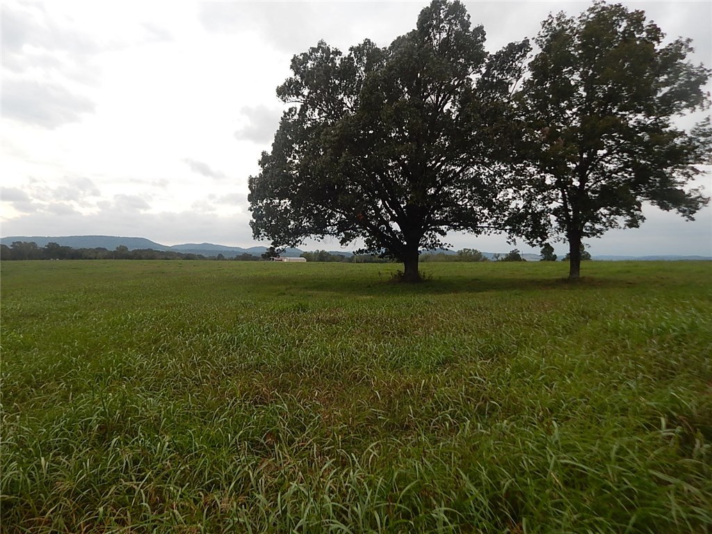 Berryville Outlots - Land