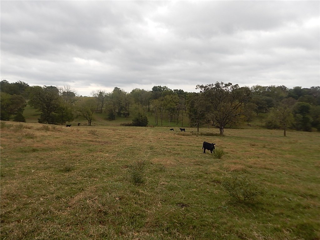 Berryville Outlots - Land