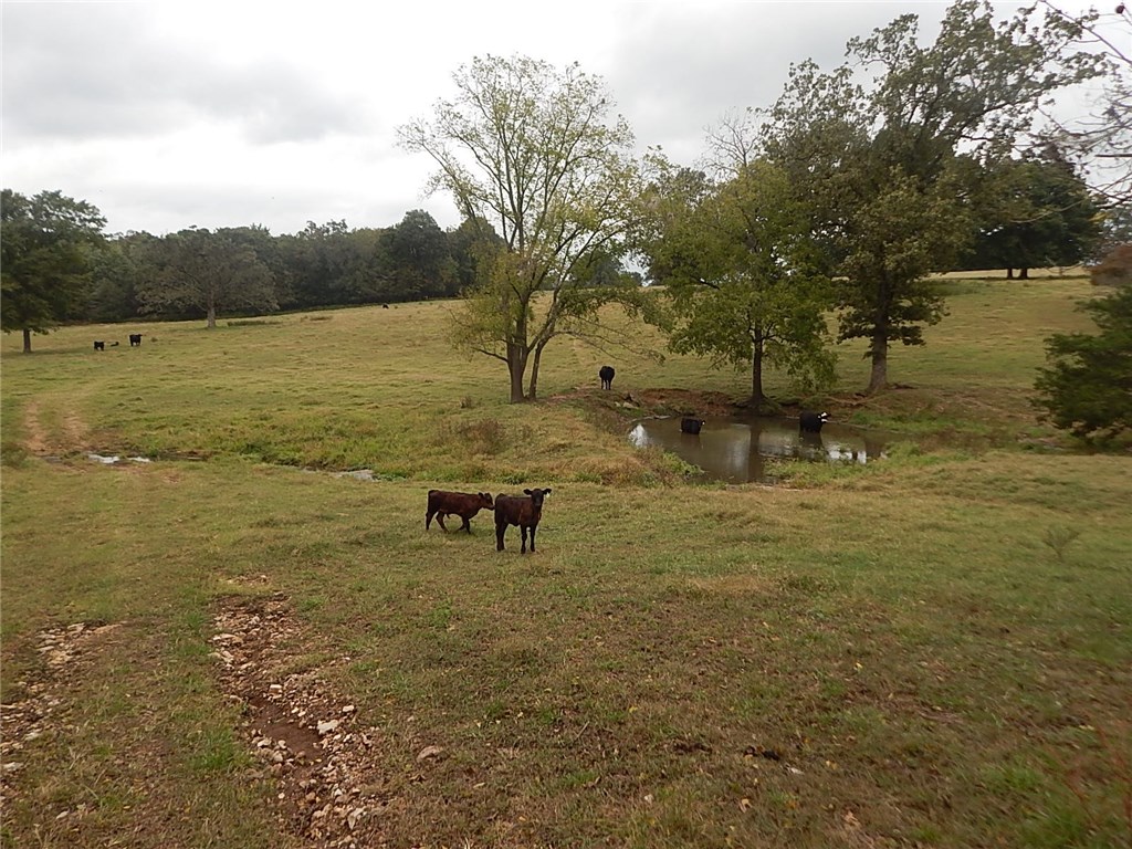 Berryville Outlots - Land