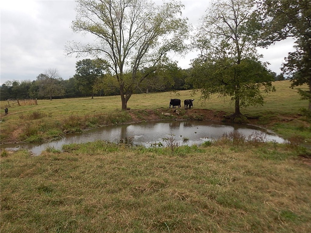 Berryville Outlots - Land