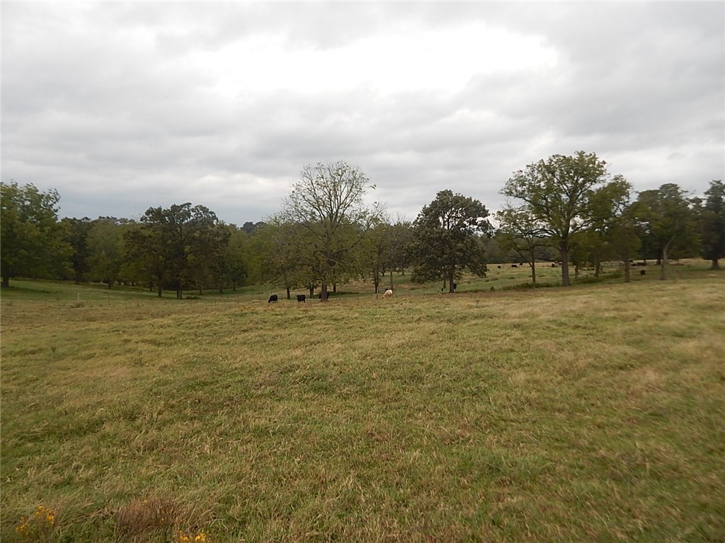 Berryville Outlots - Land