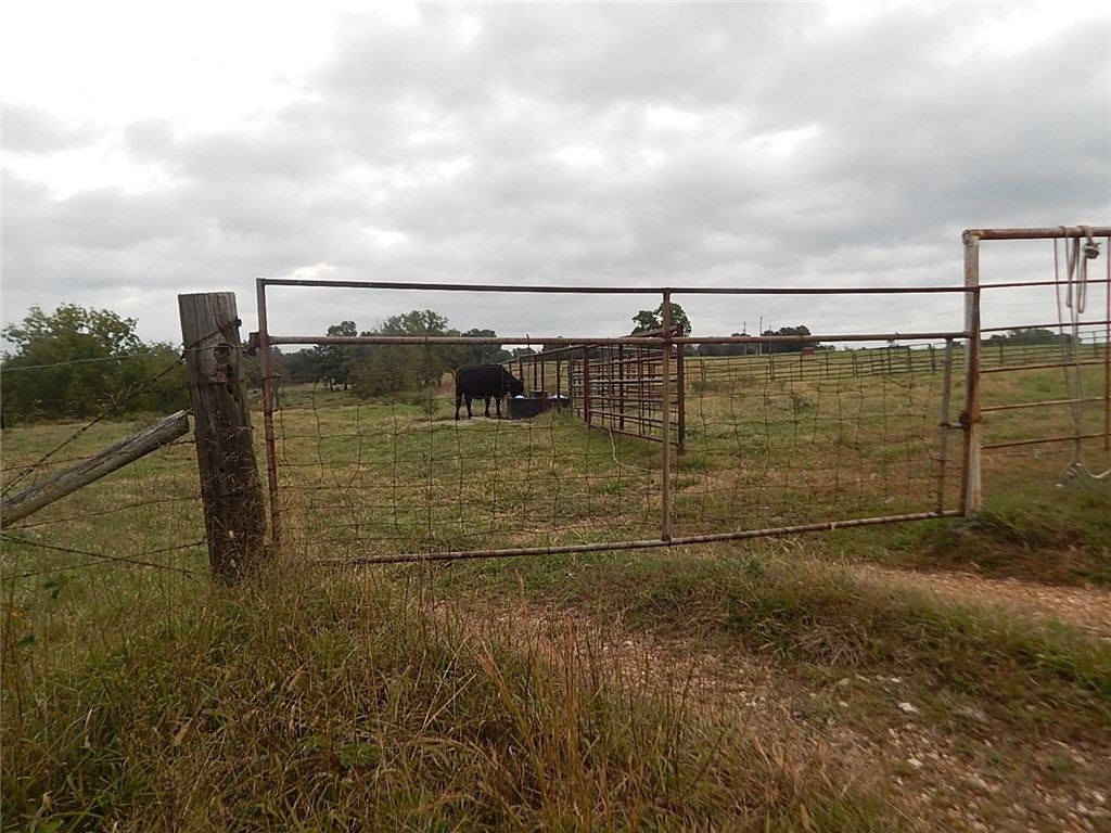 Berryville Outlots - Land