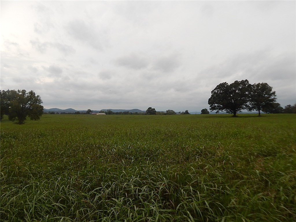 Berryville Outlots - Land