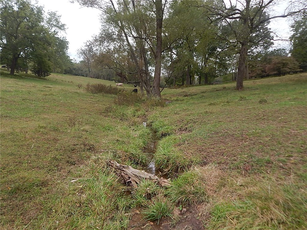 Berryville Outlots - Land