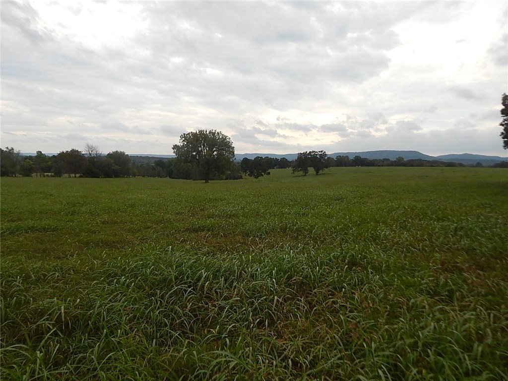 Berryville Outlots - Land