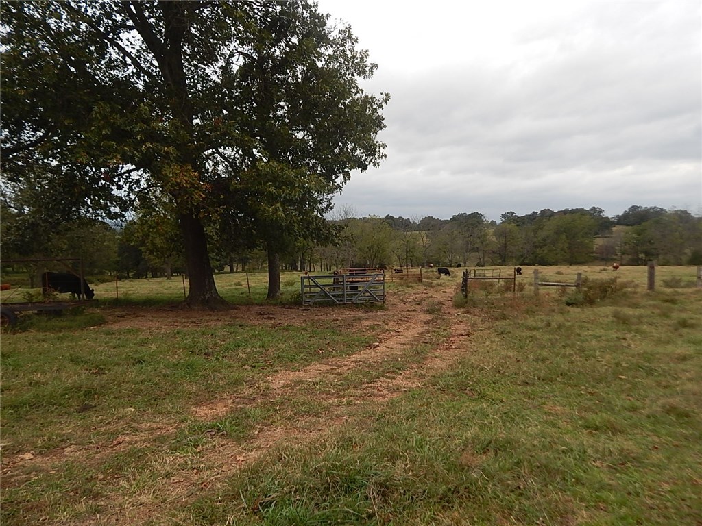 Berryville Outlots - Land