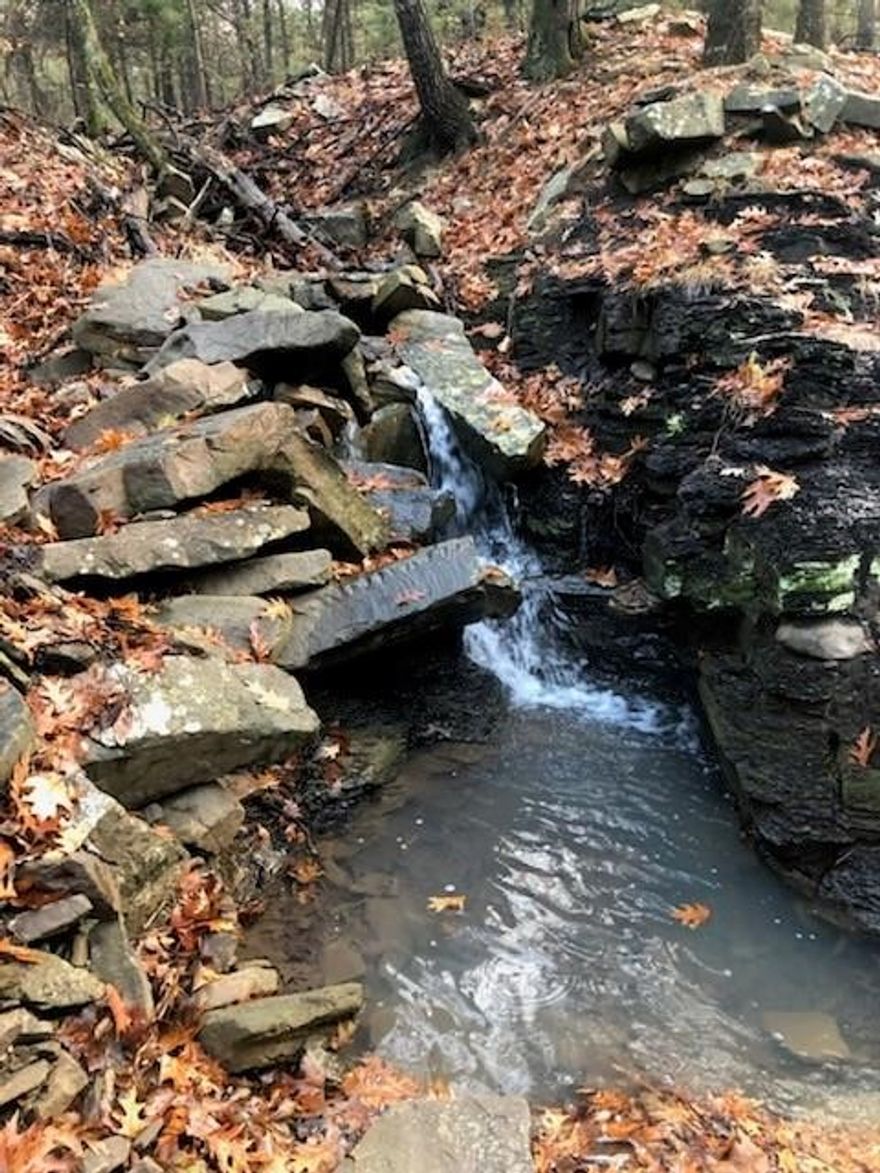 Whether you are looking for a private retreat, hunting land, or a future homestead, this land provides endless possibilities. This secluded property offers a perfect blend of timber, winding creeks and trails, and multiple potential building sites. Surveyed acreage includes access to Hwy. 59.
