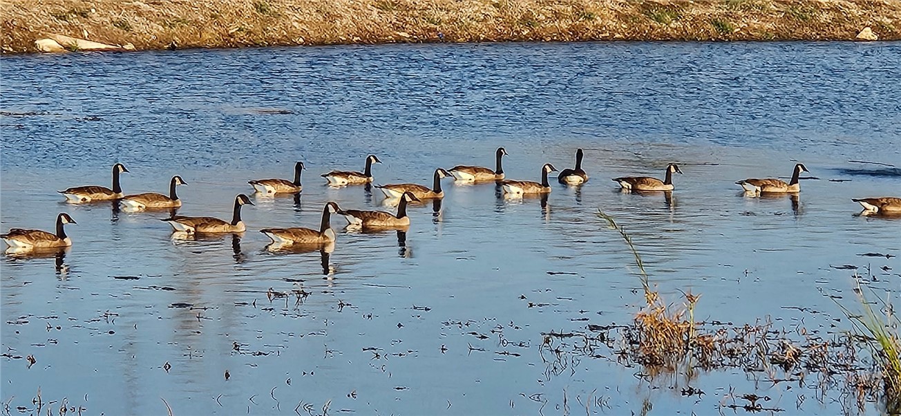 Villages Of Sloanbrooke Ph 2 - Residential