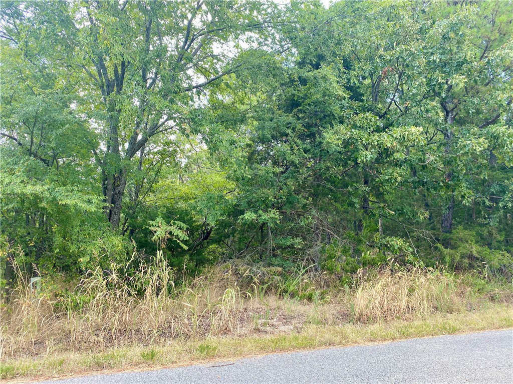 Build your dream life at 8 Cypress Point Lane in Holiday Island, AR! This 0.36-acre lot is just steps from the lush greens of the Holiday Island Golf Course and minutes from the sparkling waters of Table Rock Lake. Perfect for retirees seeking a relaxed lifestyle, builders wanting a prime lot, first-time homebuyers ready to plant roots, or vacationers dreaming of a lake-and-golf getaway.
Holiday Island blends small-town charm with big amenities—golf, boating, fishing, hiking, shopping, dining, and community events. Utilities are available, making it easy to start building your custom home, cozy cottage, or low-maintenance retreat right away.
Whether you envision mornings on the course, afternoons on the lake, or evenings watching the Ozark sunset, this lot offers the perfect backdrop. Seize the opportunity to create your own piece of paradise in one of Northwest Arkansas’ most desirable communities. Stop dreaming—start building today!