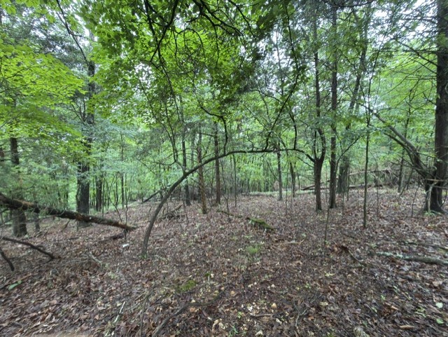 Tanglewood Resort No 2- Rurban - Land