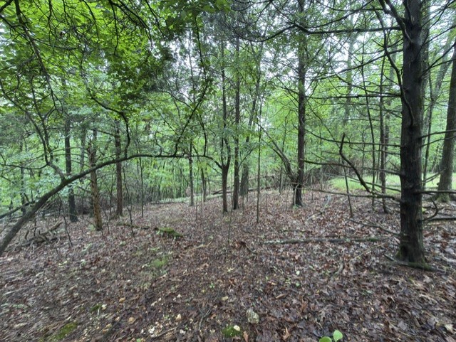 Tanglewood Resort No 2- Rurban - Land