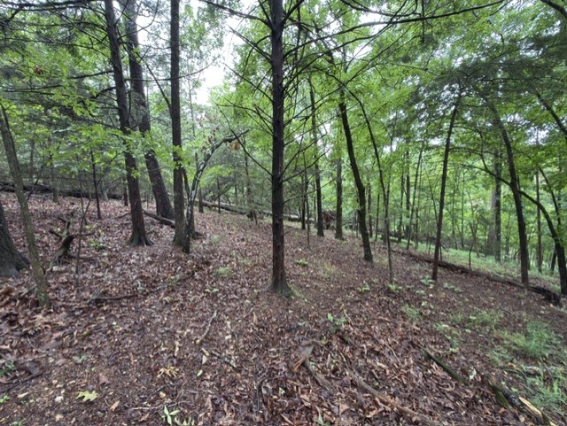 Tanglewood Resort No 2- Rurban - Land
