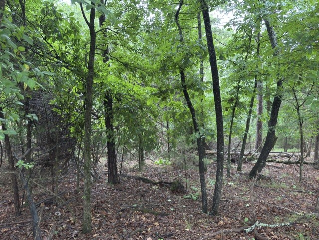Tanglewood Resort No 2- Rurban - Land