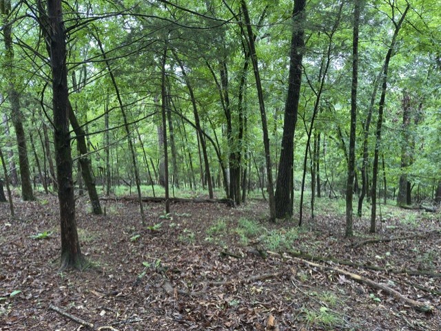 Tanglewood Resort No 2- Rurban - Land