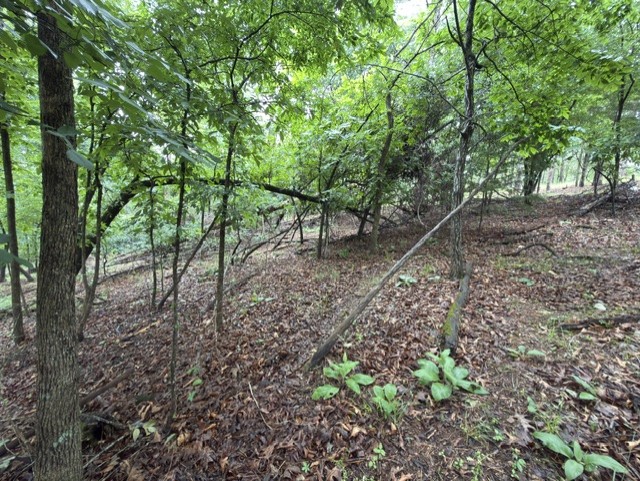 Tanglewood Resort No 2- Rurban - Land