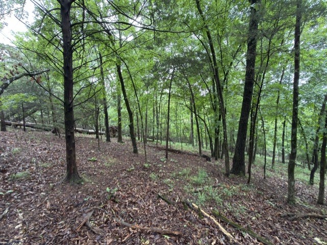 Tanglewood Resort No 2- Rurban - Land