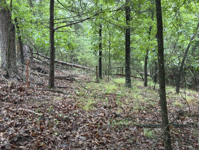 Tanglewood Resort No 2- Rurban - Land