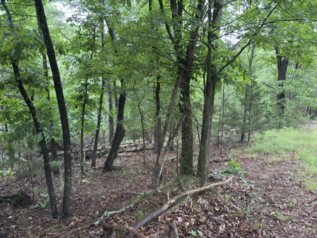 Tanglewood Resort No 2- Rurban - Land