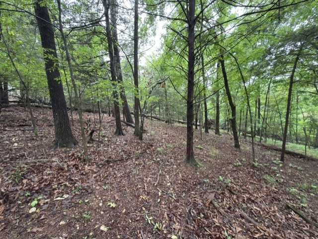 Tanglewood Resort No 2- Rurban - Land