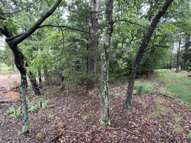 Tanglewood Resort No 2- Rurban - Land