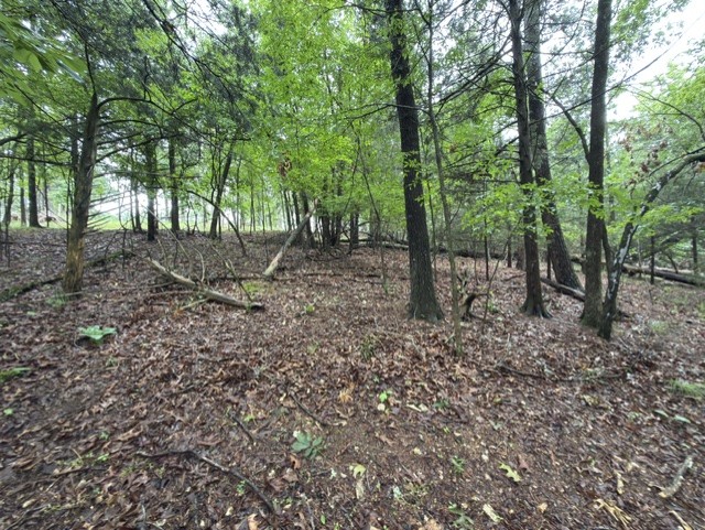 Tanglewood Resort No 2- Rurban - Land
