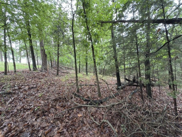 Tanglewood Resort No 2- Rurban - Land