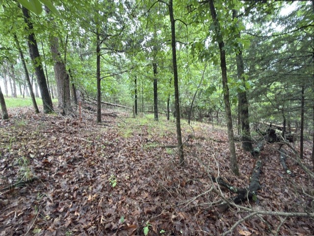 Tanglewood Resort No 2- Rurban - Land