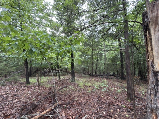 Tanglewood Resort No 2- Rurban - Land