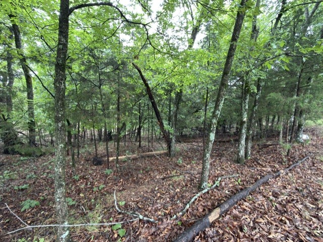 Tanglewood Resort No 2- Rurban - Land
