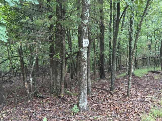 Tanglewood Resort No 2- Rurban - Land