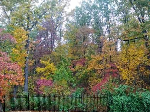 Versailles - Residential