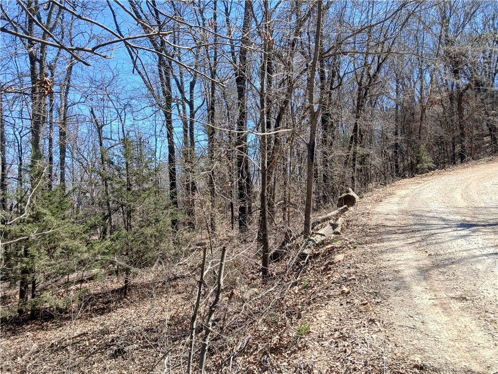 Cloud 9 Sky High Ranches Rep - Land