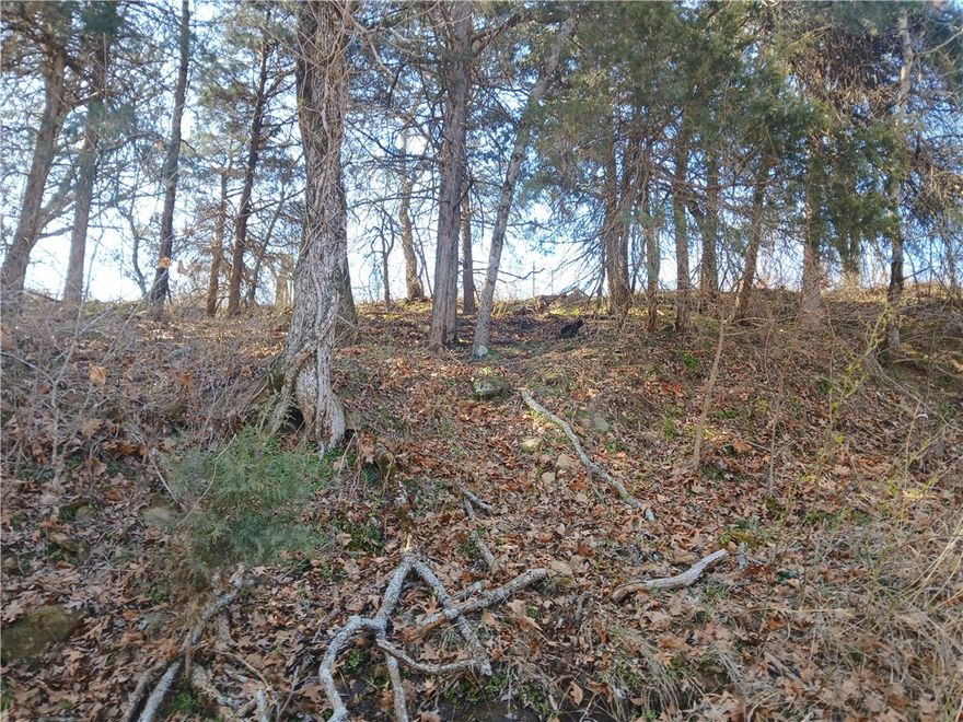 Views? We've got some fantastic Views into the valley from the ridgetop. Priced to sales, this 7 acres of Wooded privacy speaks loud and clear about the name of the  cloud 9 sky high subdivision. Beautiful established homes just behind the next corner. Close to conveniences, 15 minutes to downtown Huntsville