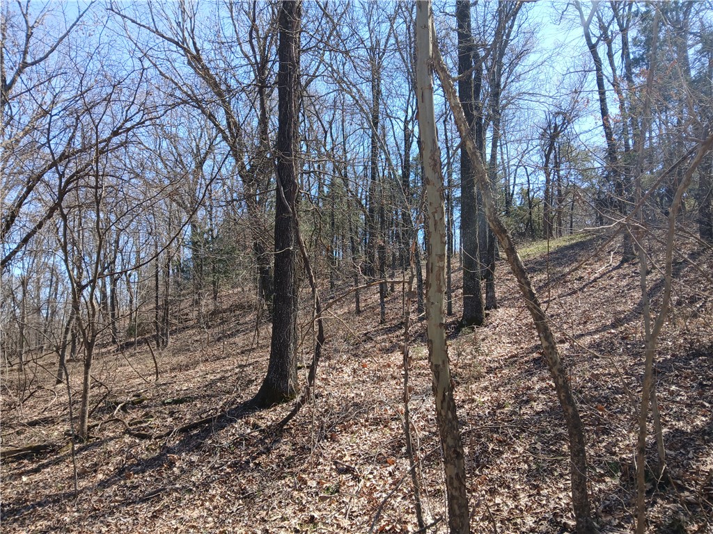 Cloud 9 Sky High Ranches Rep - Land