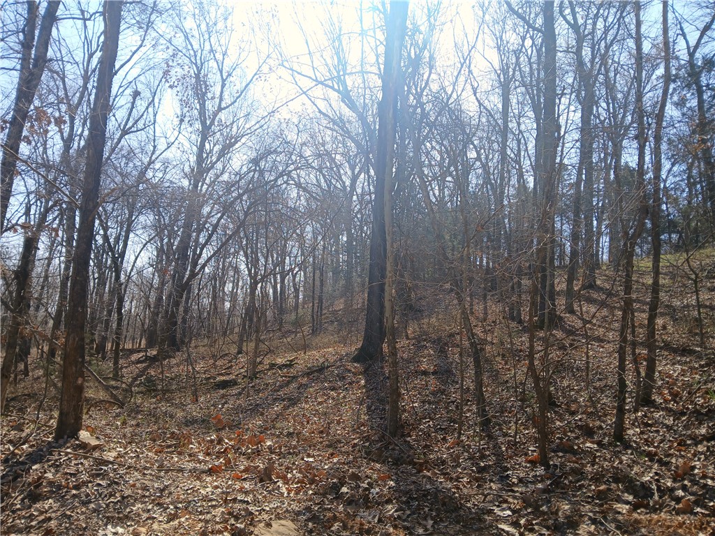 Cloud 9 Sky High Ranches Rep - Land