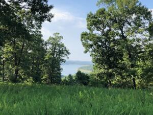 Beautiful Bull Shoals Lake View on this lot with nice building spot at Webb's Landing. Perc test done for 3 bedroom home, access to airport runway located in this development.