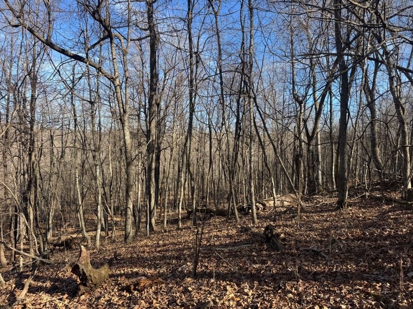 not in subdivision - Land