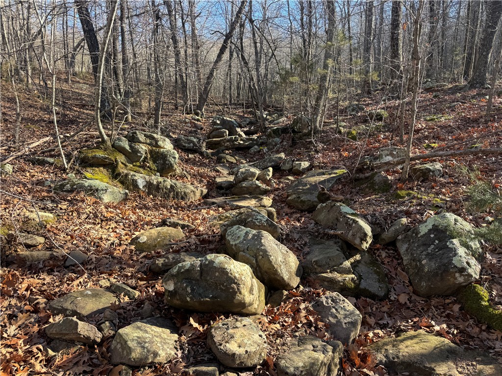 not in subdivision - Land