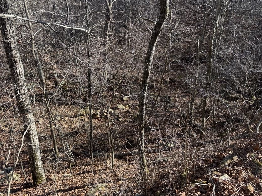 not in subdivision - Land