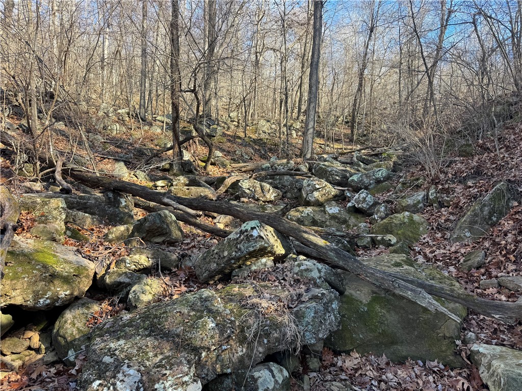 not in subdivision - Land