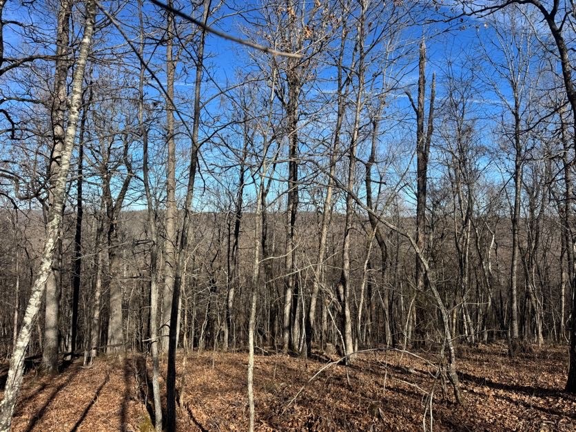 not in subdivision - Land