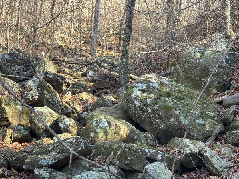 not in subdivision - Land