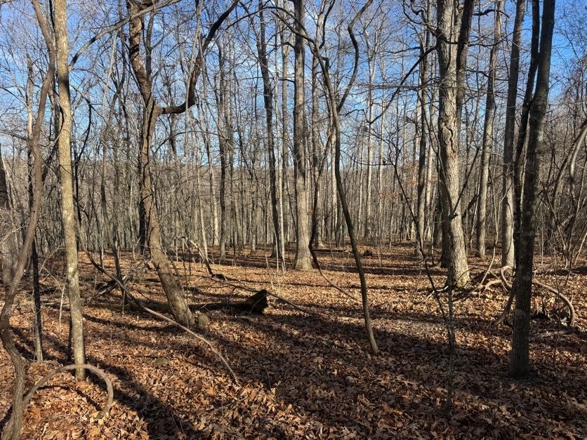 not in subdivision - Land