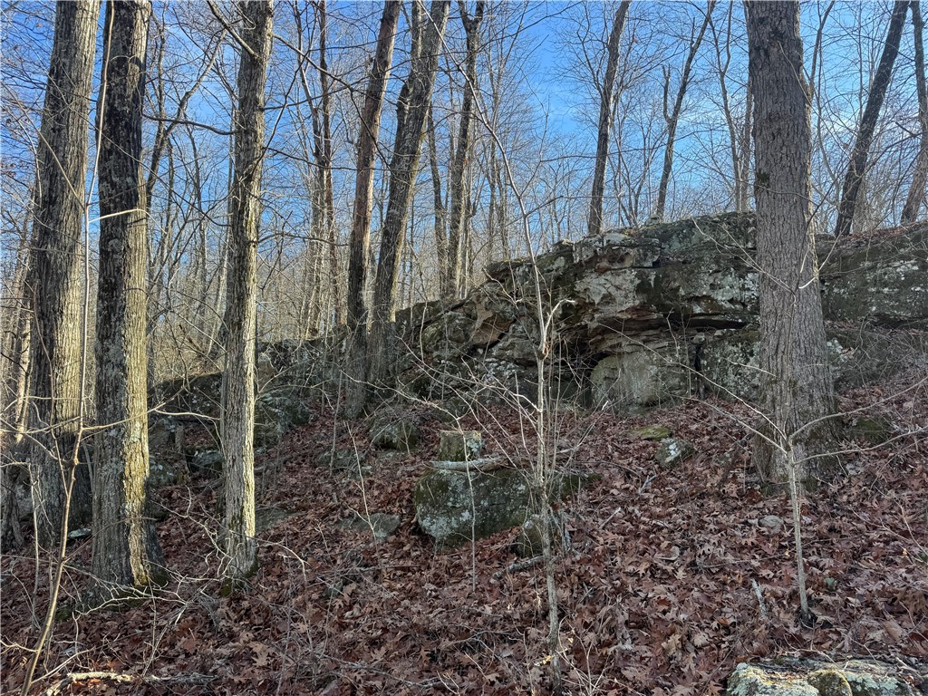 not in subdivision - Land