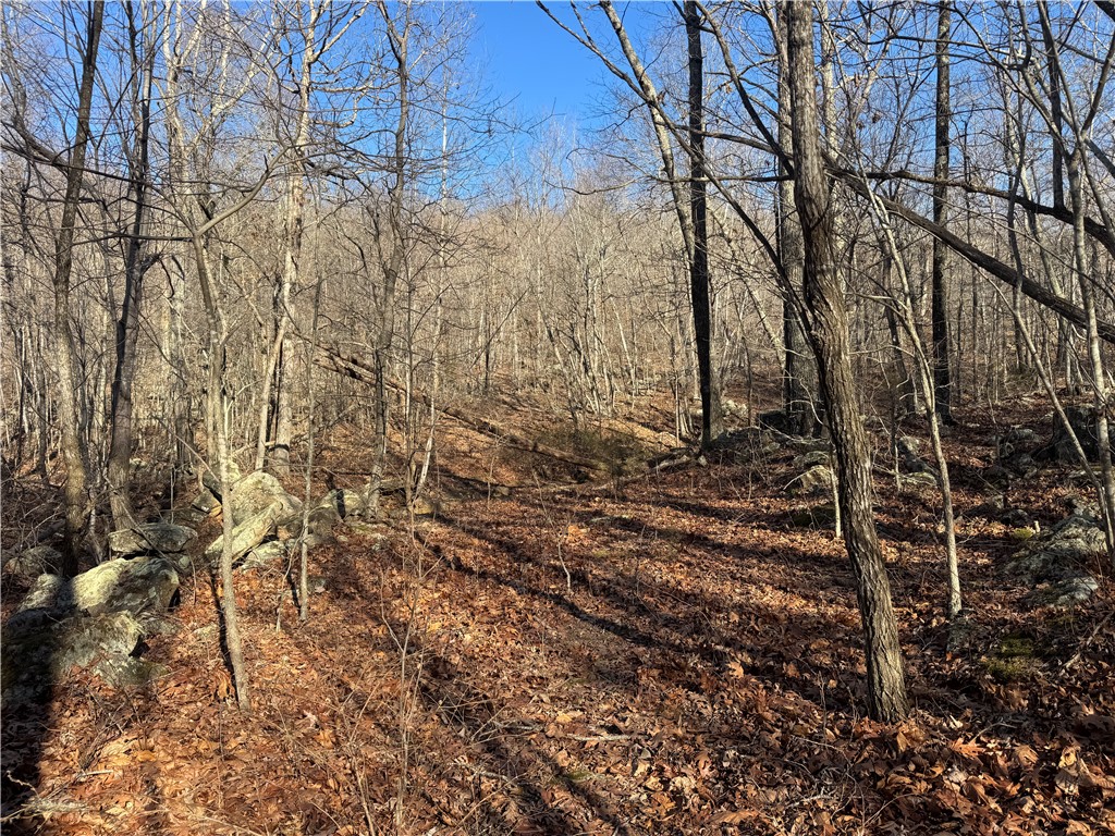 not in subdivision - Land