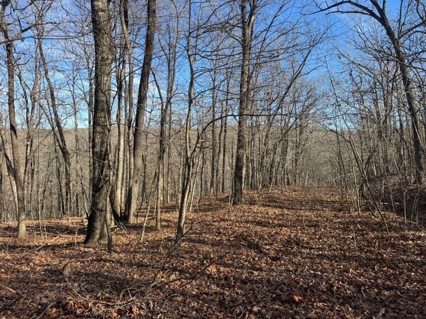 not in subdivision - Land